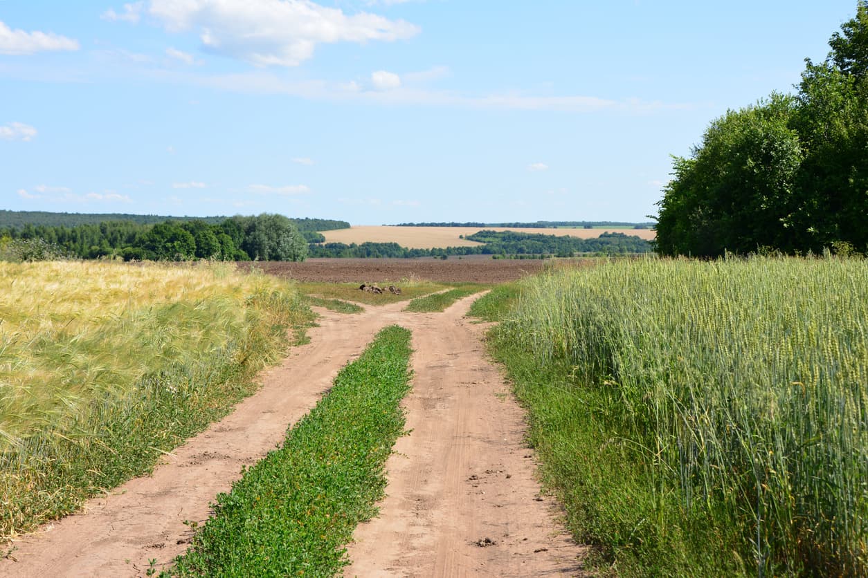 Lessons From the Field